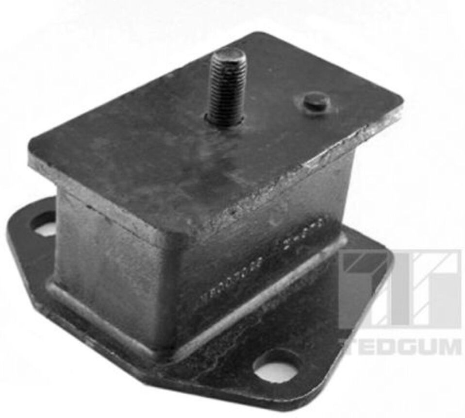 Tedgum Supporto, supporto motore 00441699