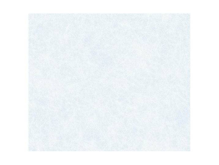 Fensterfolie D-C-FIX Reispapier 90 x 150 cm , transparent, Fensterfolien, Fensterfolie