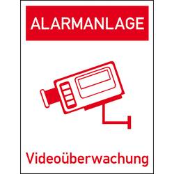 SafetyMarking 21.G5020 Hinweisschild Videoüberwachung Folie selbstklebend (B x H) 50 mm x 65 mm 1 St.