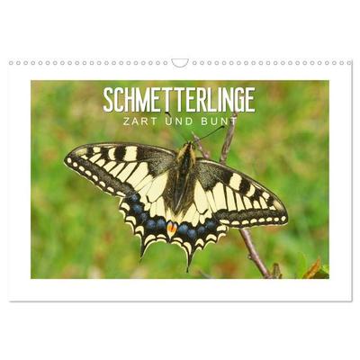 Schmetterlinge: zart und bunt (Wandkalender 2027 DIN A3 quer), CALVENDO Monatskalender