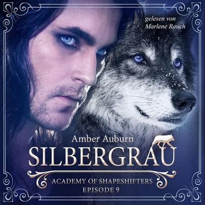 Silbergrau, Episode 9 - Fantasy-Serie - Amber Auburn, Audio, 9783947099245