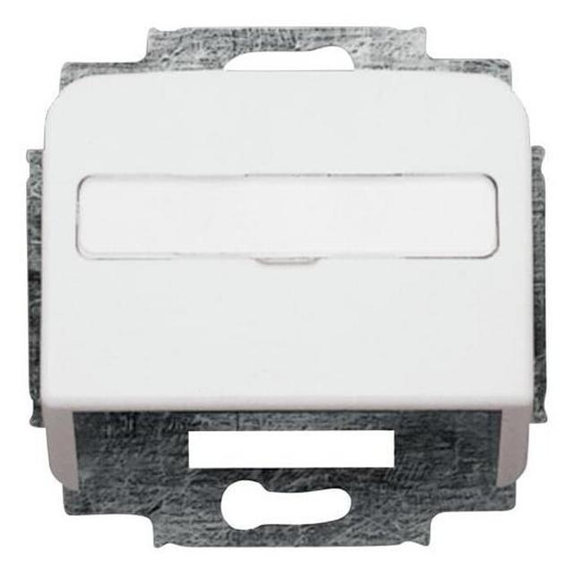 Busch-Jaeger Zentralscheibe (2CKA001724A1663)