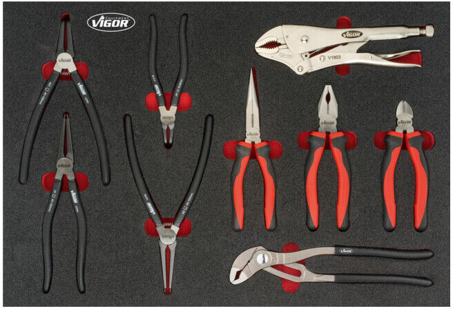 VIGOR Jeu de pinces pour VW et AUDI V5635, 9 outils (V5635)