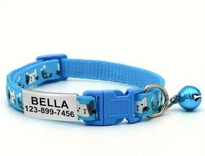 Uplifted Finds Safe Track Personalized Identification Hub blue
