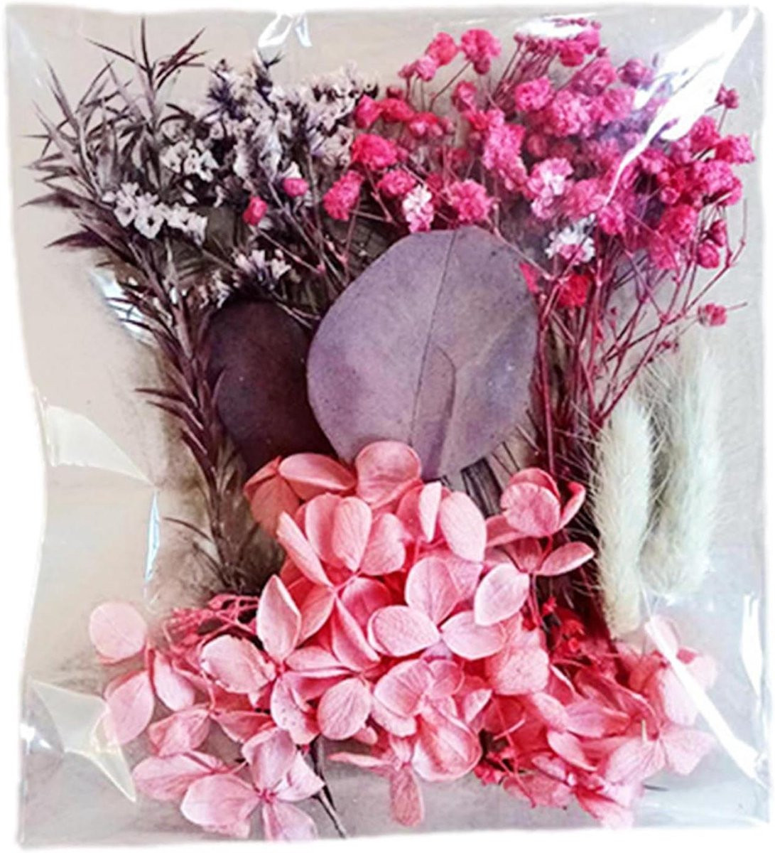 Mix van gedroogde bloemen voor natuurlijke decoratie en hobbyprojecten
