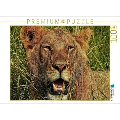 CALVENDO Puzzle Löwe in der Masai Mara | 1000 Teile Lege-Größe 64x48cm Foto-Puzzle für glückliche Stunden