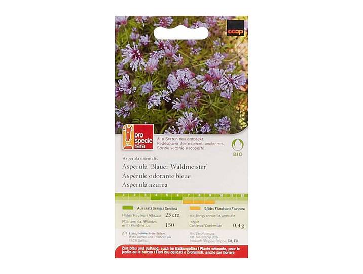 ProSpecieRara Bio-Asperula Blauer Waldmeister