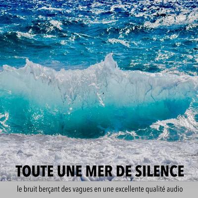 une mer de tranquillité, un océan de calme, toute une mer de silence - Robert van Dyck, Audio, 4057664501639