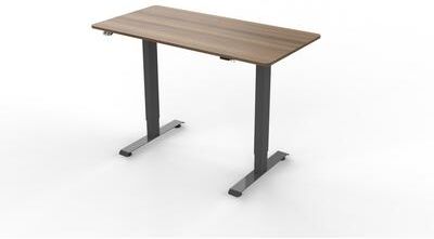 Furniture of America Carlos Modern 47-inch Metal Electric-Powered Adjustable Standing Desk