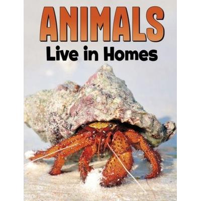 Animals Live in Homes, Taschenbuch von Nadia Ali, Capstone Global Library Ltd, 978-1-398-25021-5