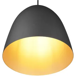 Trio, Pendelleuchte, TILDA – R30661080 (E27)