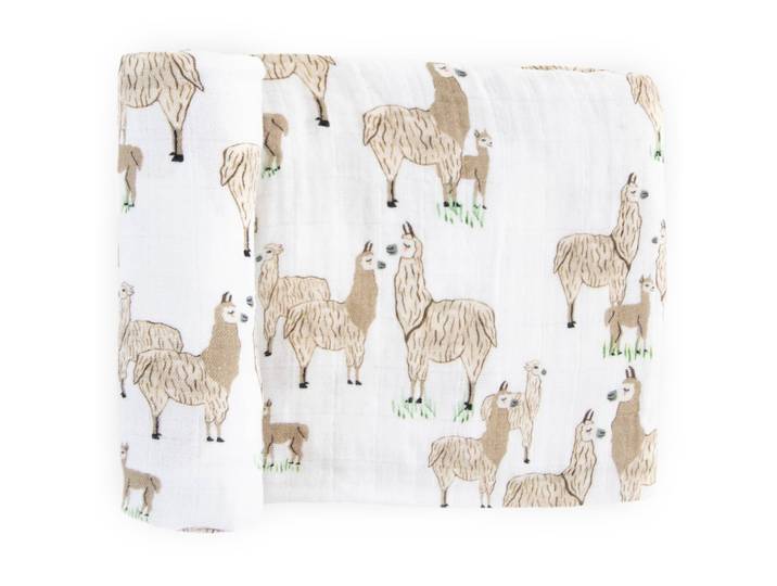 Pucktuch Lama