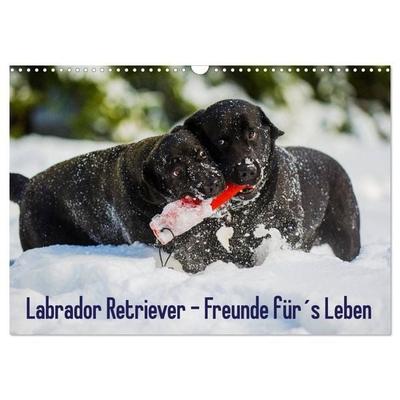 Labrador Retriever - Freunde für´s Leben (Wandkalender 2027 DIN A3 quer), CALVENDO Monatskalender