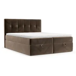 BOXBETT Tivra 200/200 cm Braun im Paros Stoff