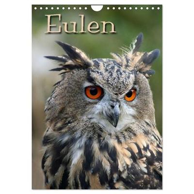 Eulen (Wandkalender 2027 DIN A4 hoch), CALVENDO Monatskalender