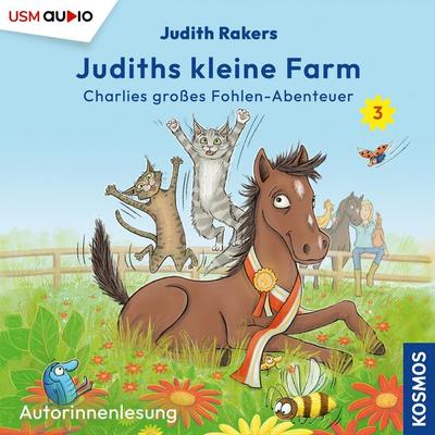 Charlies großes Fohlen-Abenteuer - Judith Rakers, Audio, 9783803290946