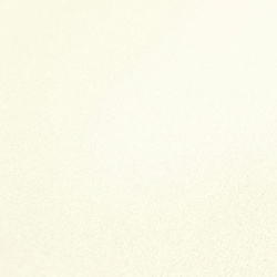 VLIESTAPETE Beige 53/1005 cm