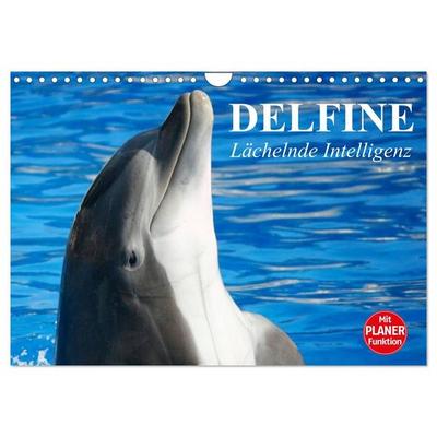 Delfine - Lächelnde Intelligenz (Wandkalender 2027 DIN A4 quer), CALVENDO Monatskalender
