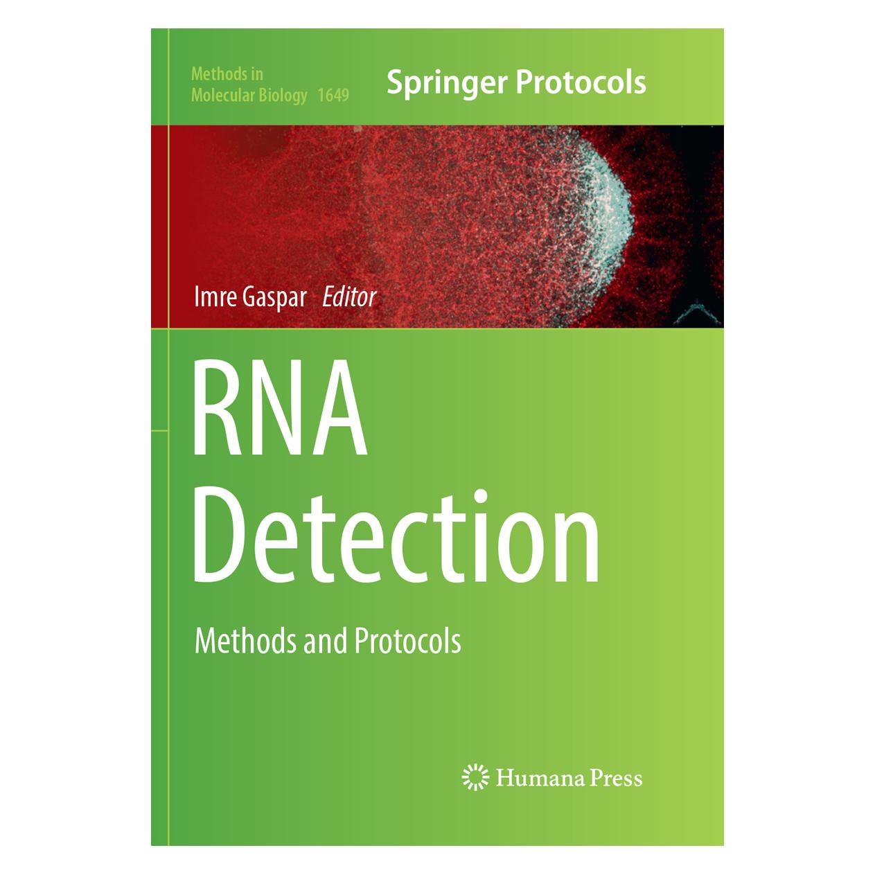 Springer RNA Detection (Englisch, Softcover, Imre Gaspar) (56053469)