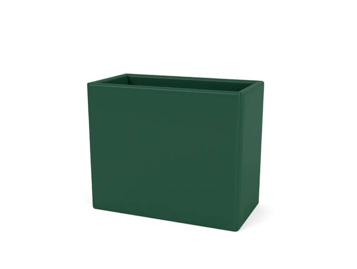 Montana Collect Organizer Pine 136