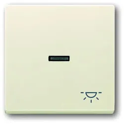 Busch-Jaeger Wippe sav/ews mit Symbol Licht 1789 LI-82