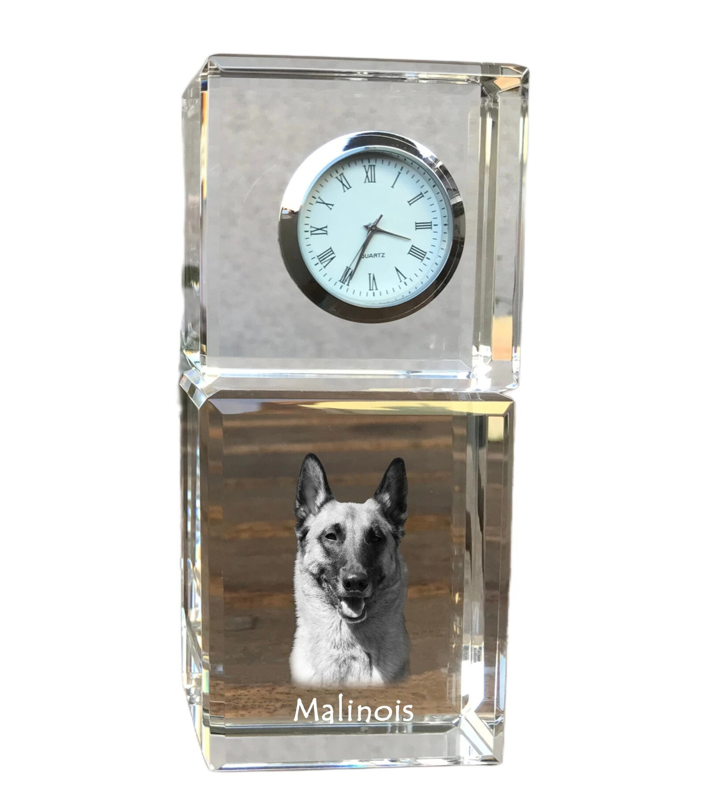 Art-Dog Klok Mechelse herder voor op tafel