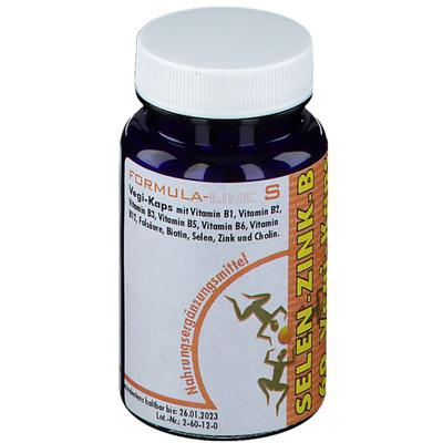 Selen Zink Vit.B Komplex Vegi-Kaps 480 mg 60 St Kapseln