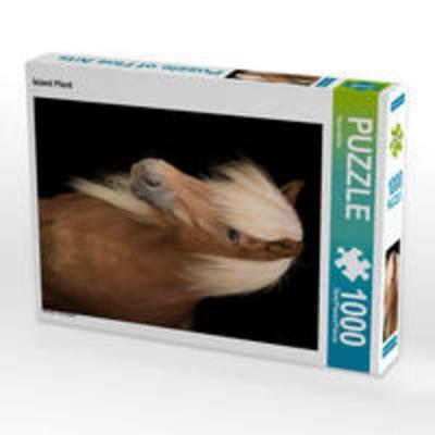 CALVENDO Puzzle Island Pferd 1000 Teile Lege-Größe 48 x 64 cm Foto-Puzzle Bild von Paula Müller