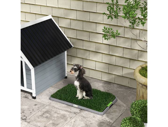PawHut Toilette Chien Gazon Synthétique Int/Ext 67x41 cm