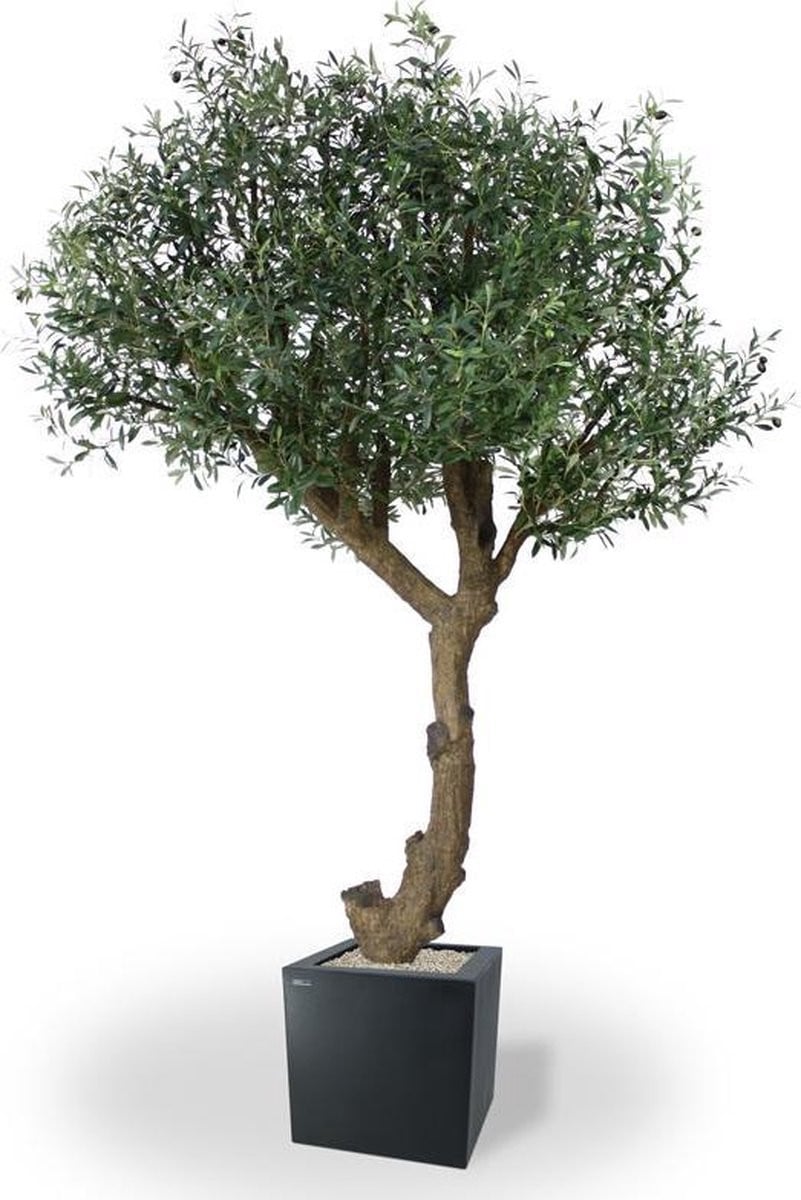 Kunstboom Olijf Giant Y stam 270 cm