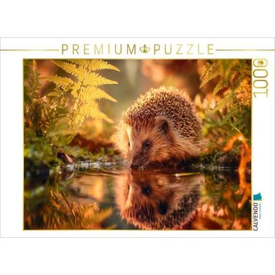 CALVENDO Puzzle Ein Schluck Sommer, der Igel stillt seinen Durst | 1000 Teile Lege-Größe 64x48cm Foto-Puzzle für glückliche Stunden, Sonstige von ,