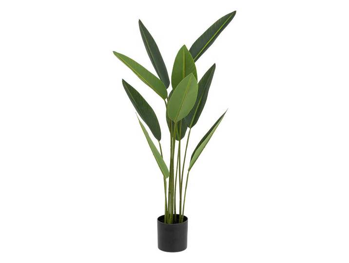 Atmosphera Createur d´interieur Dekopflanze Strelitzia 97 cm, Grün, Kunststoff, 97 cm, Dekoration, Blumen & Blumentöpfe, Kunstpflanzen