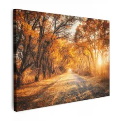 LEINWANDBILD Wald - Herbst - Bäume - Waldweg - Natur Wandbild 40x30 cm