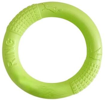 Inspired Living AquaTug EVA Dog Training Ring For Fetch, Tug & Water Play green 28cm