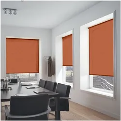 Büscher Sunlines Seitenzug-Rollo als Sicht- und Lichtschutz im Festmaß 82x180 cm orange, 82x180 cm