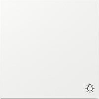 GIRA Wippe Symb. Licht Schalter Reinweiá 328570 weiß, Retail