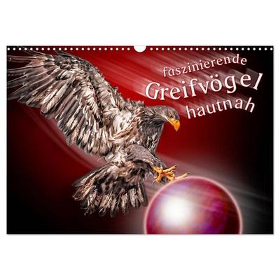Faszinierende Greifvögel hautnah (Wandkalender 2026 DIN A3 quer), CALVENDO Monatskalender