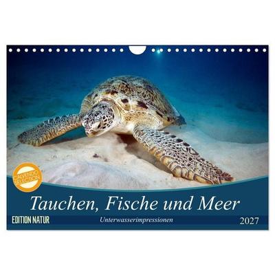 Tauchen, Fische und Meer (Wandkalender 2027 DIN A4 quer), CALVENDO Monatskalender