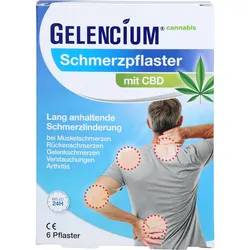 Gelencium Schmerzpflaster 6 ST