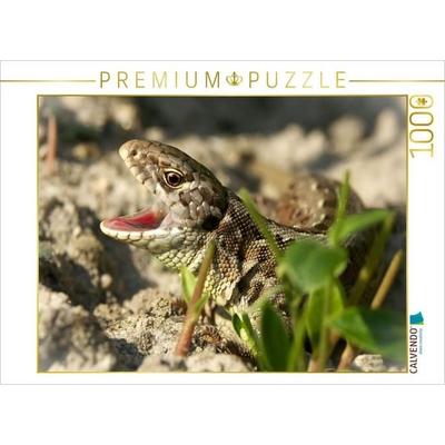 CALVENDO Puzzle Zauneidechse zeigt Zähne | 1000 Teile Lege-Größe 64x48cm Foto-Puzzle für glückliche Stunden