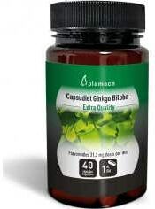 PLAMECA Capsudiet Ginkgo Biloba 40 caps vegs