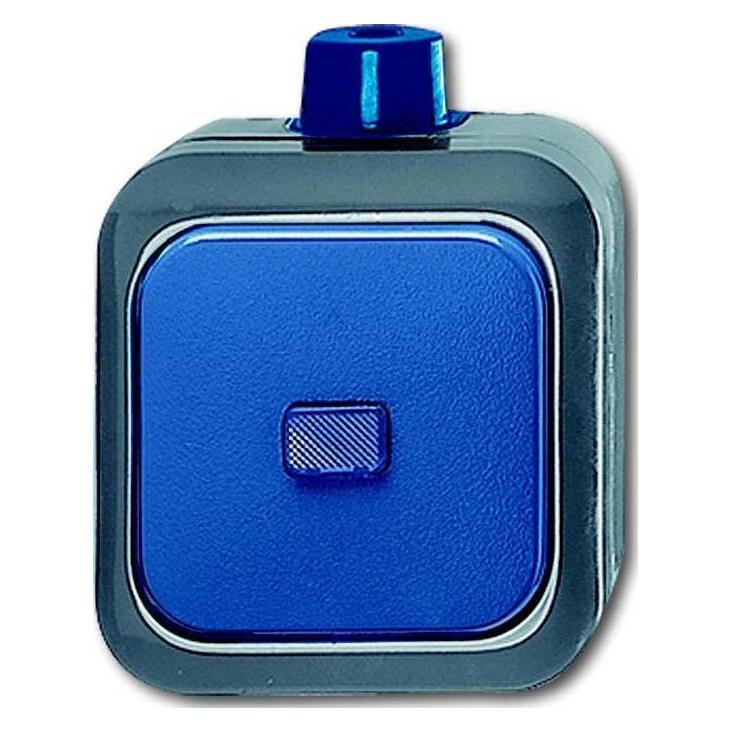 Busch-Jaeger Wechselschalter (2CKA001084A0797)