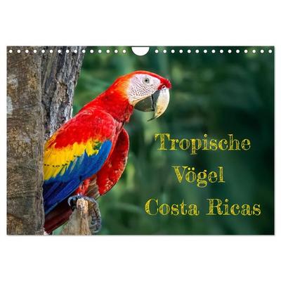 Tropische Vögel Costa Ricas (Wandkalender 2026 DIN A4 quer), CALVENDO Monatskalender