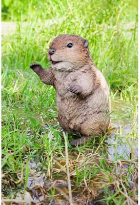Hi-Line Gift American Beaver Cub Standing Statue