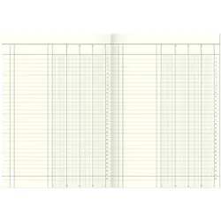 Baier & Schneider, Formular, Spaltenbuch (40x)