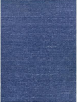 EXQUISITE RUGS Gamma Indoor/Outdoor Flatweave PET yarn Blue Area Rug.