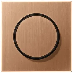 Jung Abdeckung BRG 1740