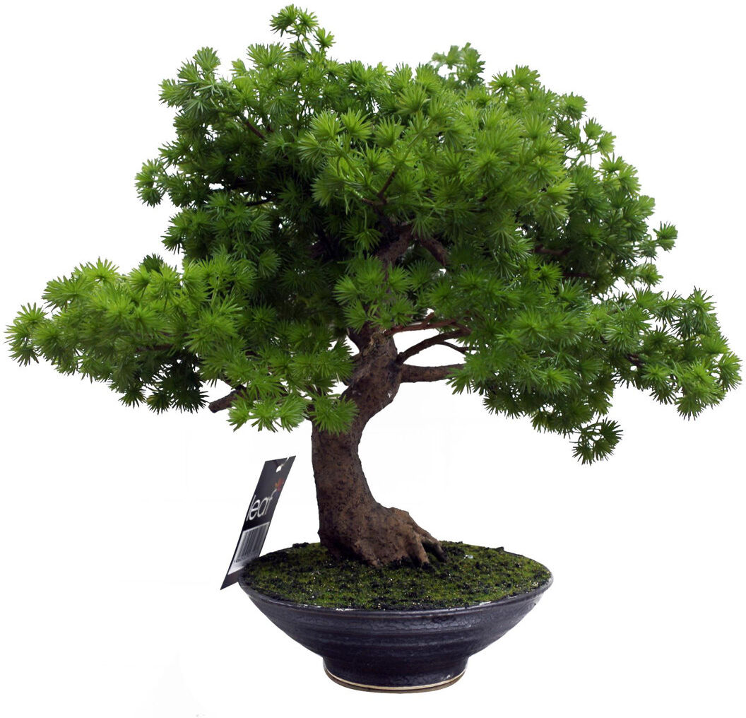 Bloomsbury Market 50cm Faux Bonsai Plant in Ceramic Pot Green 50cm H X 60cm W X 60cm D