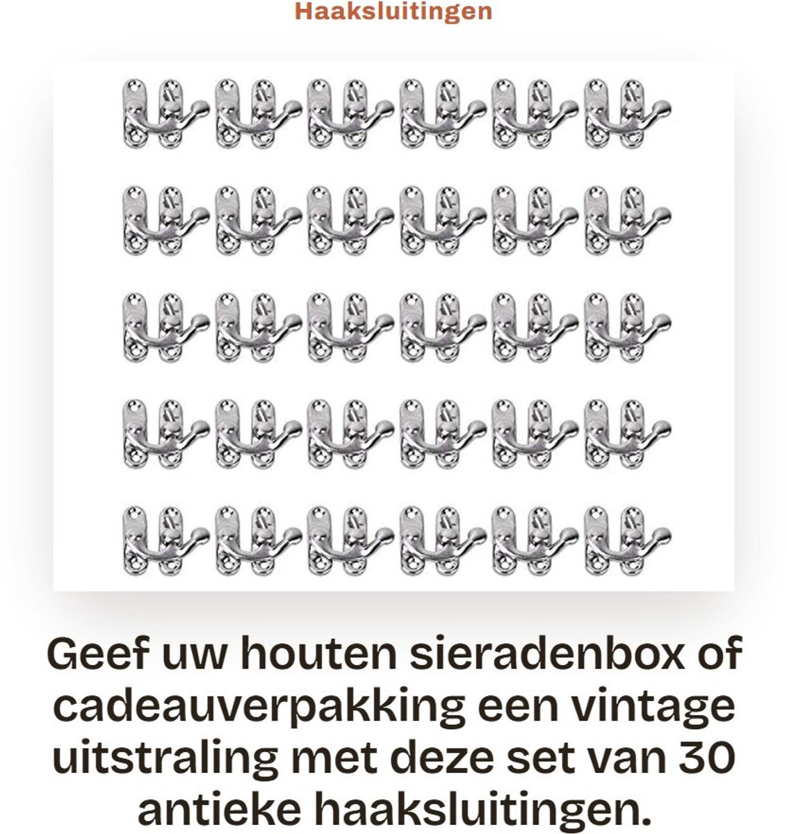 Dailygoods Set van 30 Corrosiebestendige IJzeren Antieke Haak Sluitingen voor Decoratie
