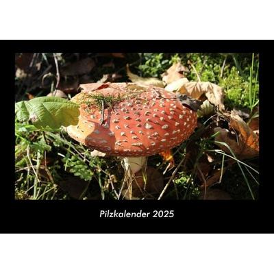 Pilzkalender 2025 Fotokalender DIN A3
